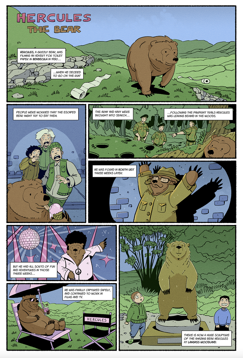 Hercules the Bear Scottish Book Trust